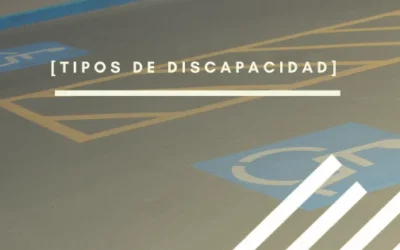 Tipos de discapacidad: Un análisis integral de las diferentes realidades