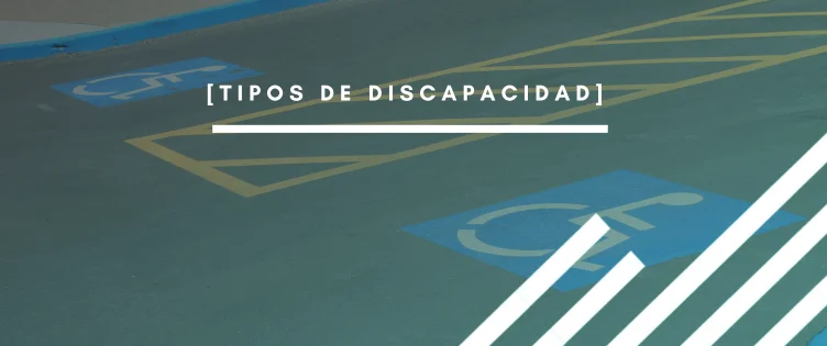 Tipos de discapacidad: Un análisis integral de las diferentes realidades