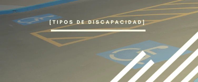 Artículo sobre los tipos de discapacidad por INTERIM GROUP