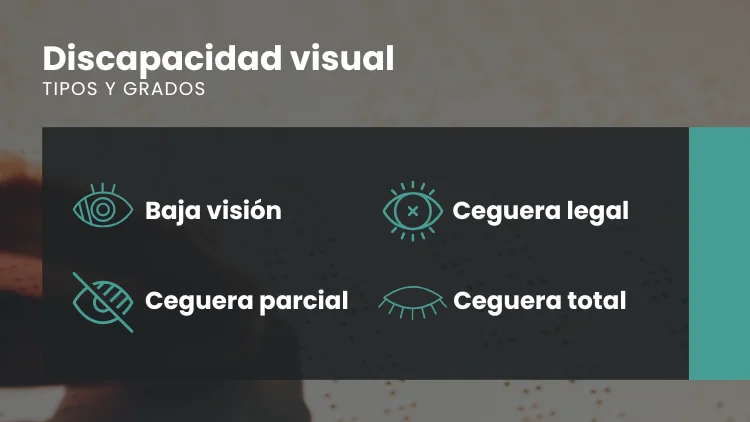 Tipos de discapacidad visual por INTERIM GROUP