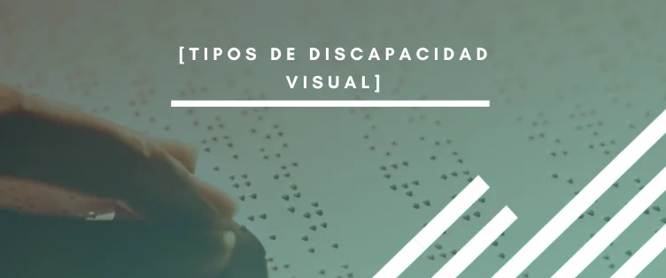 Tipos de discapacidad visual
