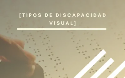 Tipos de discapacidad visual