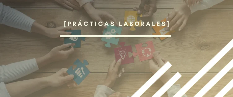 Las prácticas laborales: ¿puentes hacia el éxito profesional?
