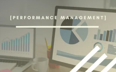 Performance Management: estrategias para el éxito organizacional
