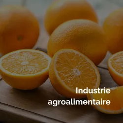 Industrie agroalimentaire<br />
Interim group