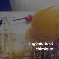 Ingénierie et chimique interim group