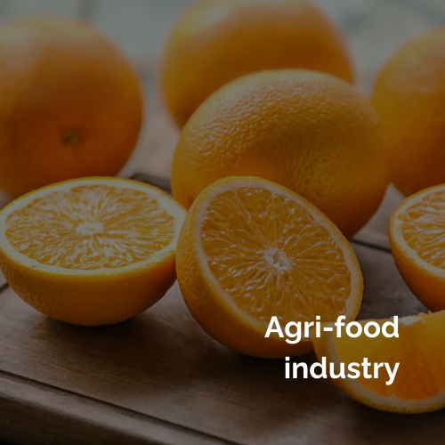 sector-agroalimentario_INTERIM-GROUP